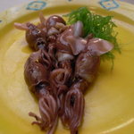 寛八 - ホタルイカ