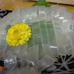 磯料理マルサ - ヤリイカ刺身アップ写真