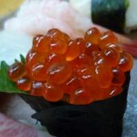 寿司割烹 魚紋 - 