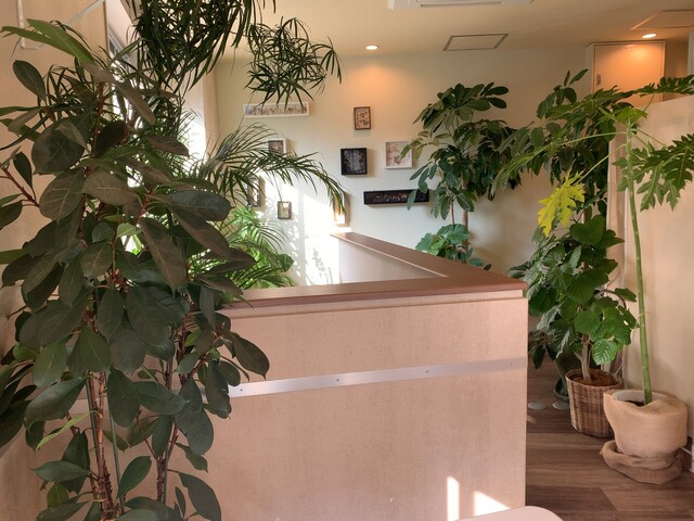 ブルーメンオーブスト Blumen Obst 旦過 カフェ 食べログ ブルーメンオーブスト Blumen Obst 旦過 カフェ 食べログ