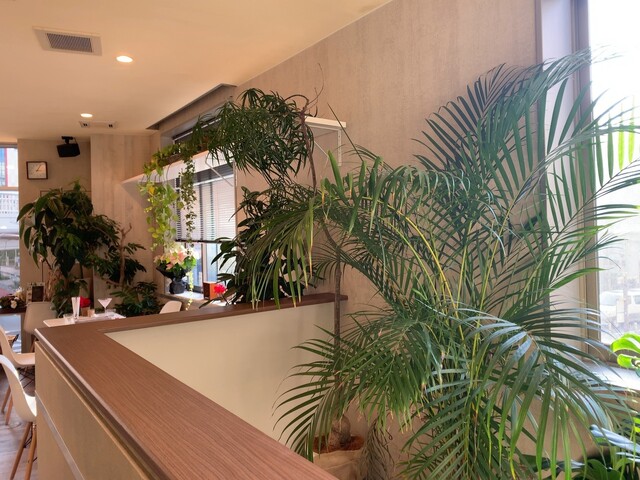 ブルーメンオーブスト Blumen Obst 旦過 カフェ 食べログ ブルーメンオーブスト Blumen Obst 旦過 カフェ 食べログ