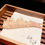 天ぷら酒房 西むら - 車海老