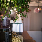 AKHA AMA COFFEE KAGURAZAKA - 