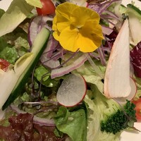 クッチーナ イタリアーナ アリア 六本木 - 