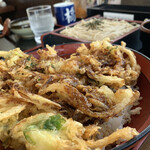 Sobadokoro Hashimoto - とにかく美味しいかき揚げ