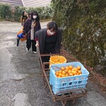 まつが - よいしょ、よいしょ