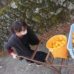 まつが - 次女頑張れ！