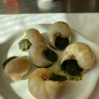 Benoit Alain Ducasse - 