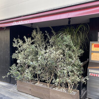 オッジ ダルマット 西麻布店 - 