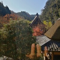 うかい鳥山 - 