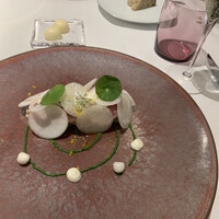 プレヴナンス - 