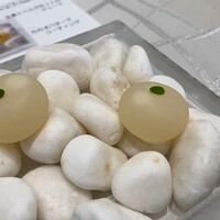 クイントカント - 