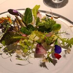 レフェルヴェソンス - 