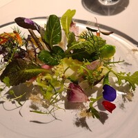 レフェルヴェソンス - 