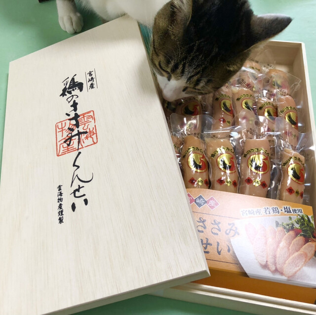 宮崎山形屋 宮崎 その他 食べログ 宮崎山形屋 宮崎 その他 食べログ