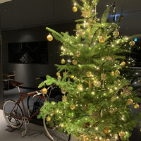Bistro NOHGA  - 