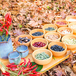 レストラン プロヴァンス - 