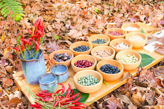 レストラン プロヴァンス - 