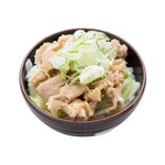 Yoshida no udon menzu fujisan - 肉飯