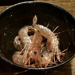 海光房 - 活きた海老です。自分で殻を剥いて食します。