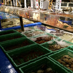 海光房 - 店内の生簀