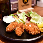 蔵元居酒屋 清龍 - カキフライ@480円：ほぼ全景