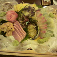 郷土料理 なが井 - お造り（氷の皿にのってます）