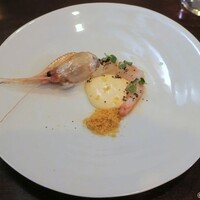 セルサルサーレ - 