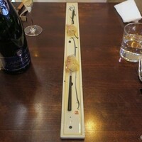 セルサルサーレ - 