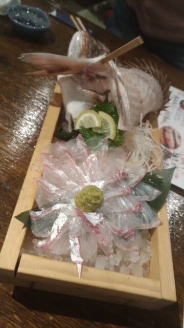 ざうお 難波本店 ザウオ 日本橋 魚介料理 海鮮料理 食べログ ざうお 難波本店 ザウオ 日本橋 魚介料理 海鮮料理 食べログ