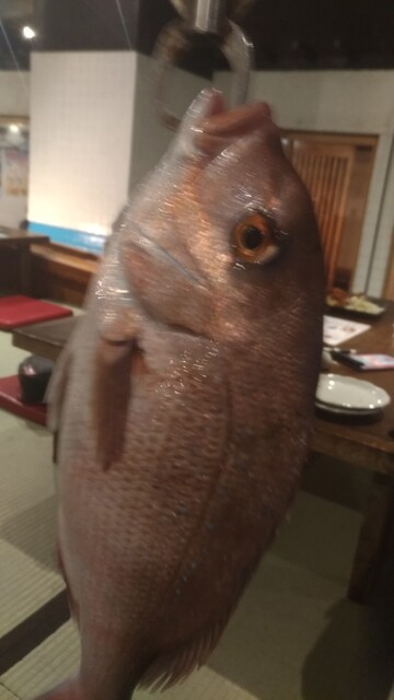 ざうお 難波本店 ザウオ 日本橋 魚介料理 海鮮料理 食べログ ざうお 難波本店 ザウオ 日本橋 魚介料理 海鮮料理 食べログ