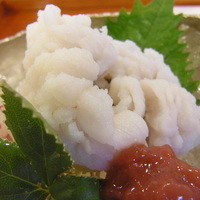 三友居 高輪店 - 造り　鱧ちり　梅肉