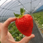 姫路ハートフル観光農園 - 