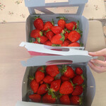 姫路ハートフル観光農園 - 