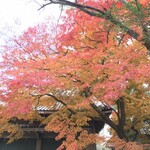 Matsumoto Shokudou - 上御霊神社