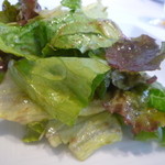 ザ キッチン サルヴァトーレ クオモ - 