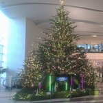 魚盛 阪急西宮ガーデンズ店 - 西宮ガーデンズに現れました