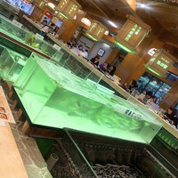 博多料亭 稚加榮 - 