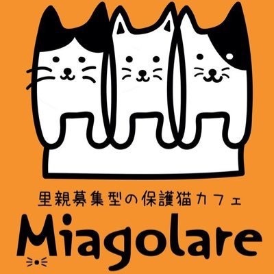 カフェとしてではなく猫ちゃんと遊べる場所として By Master773 保護猫カフェ ミャゴラーレ 保護猫カフェ Miagolare 新中野 その他 食べログ カフェとしてではなく猫ちゃんと遊べる場所として By Master773 保護猫カフェ ミャゴラーレ 保護猫カフェ Miagolare 新中野 その他 食べログ