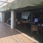 チャハヤブラン - 