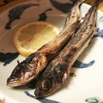 しんきろう - アゴ（トビウオ）