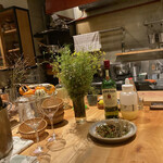 ブラインドドンキー - 