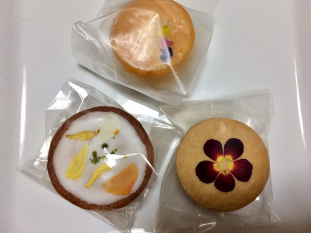 ル・キャド（Le cadeau） - 勾当台公園（カフェ）の写真