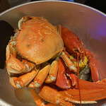 Catch the Cajun Seafood - 