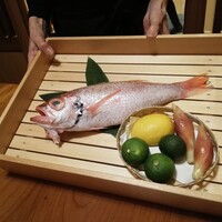 のどぐろ専門 銀座 中俣 - 