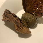 プレゼンテ スギ - 