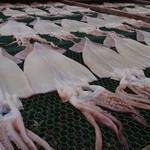 鼠ヶ関港鮮魚センター - 