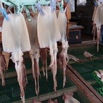 鼠ヶ関港鮮魚センター - 