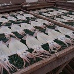 鼠ヶ関港鮮魚センター - 