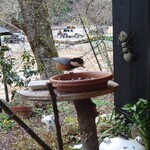 くつきそば 永昌庵 - 